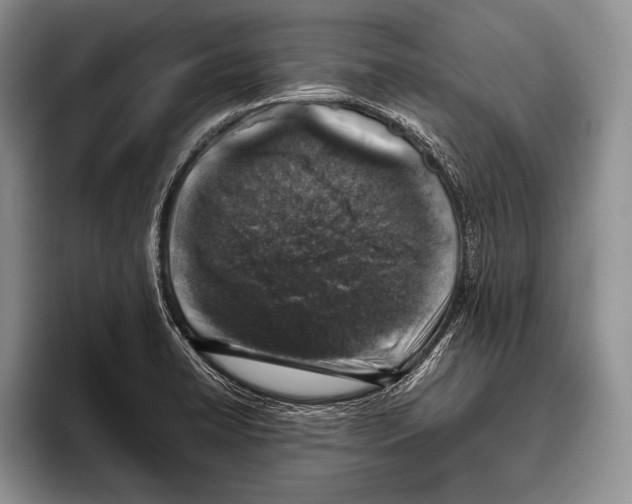 X0000095951422200802081248