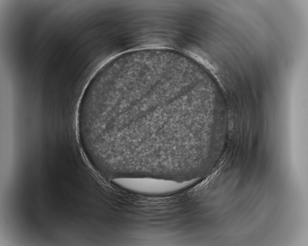 X0000095951423200802081248