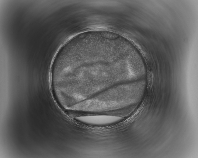 X0000095951424200802081248