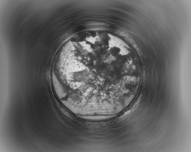 X0000095951425200802081248