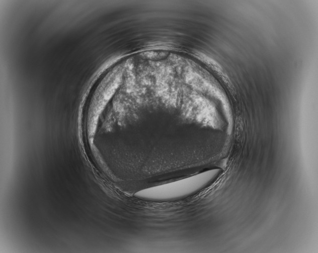 X0000095951427200802081248