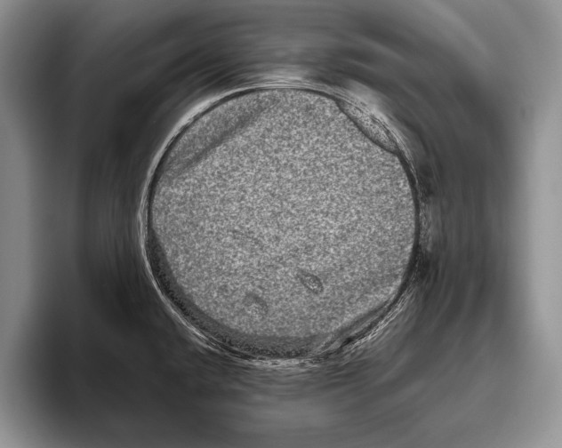 X0000095951432200802081248