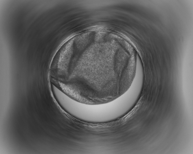 X0000095951434200802081248