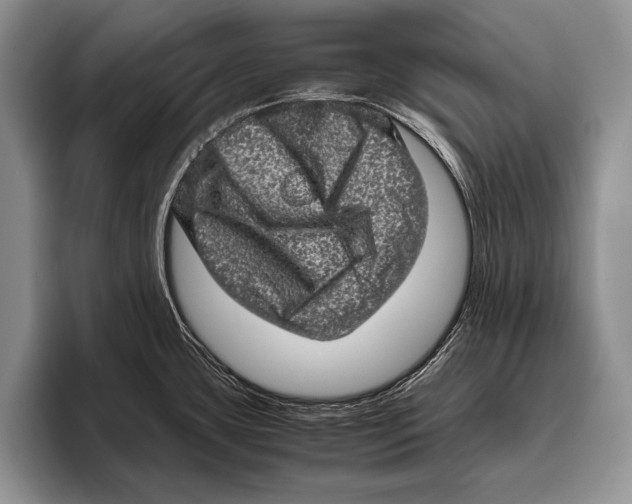 X0000095951435200802081248