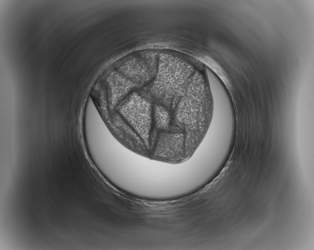 X0000095951436200802081248