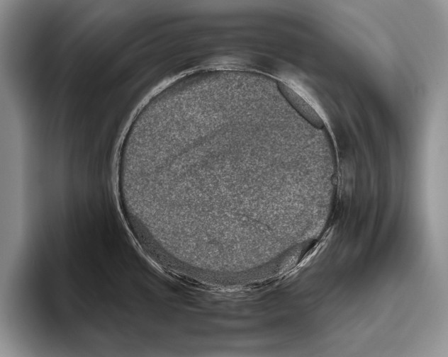 X0000095951437200802081248