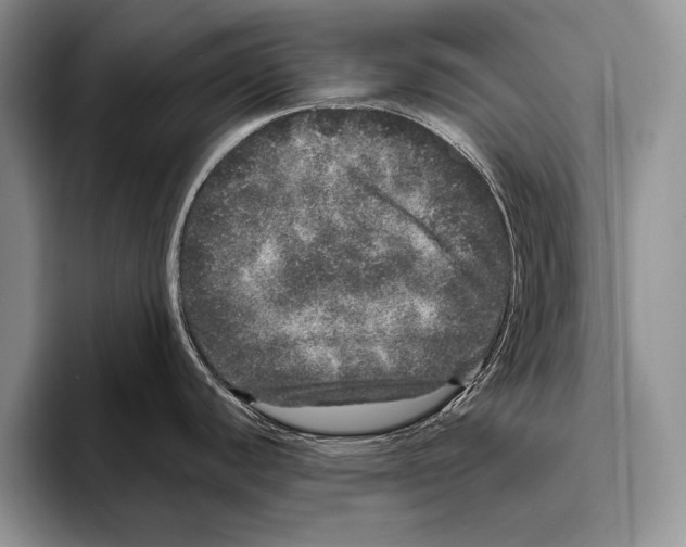 X0000095951440200802081248