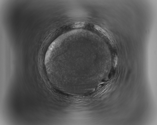 X0000095951441200802081248