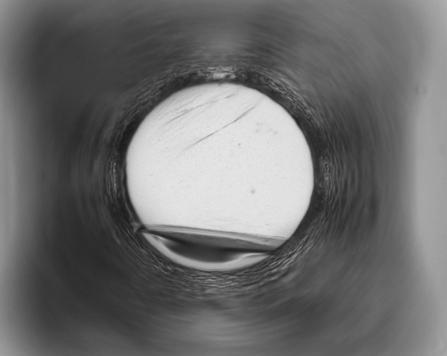 X0000095951442200802081248