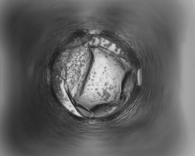 X0000095951443200802081248