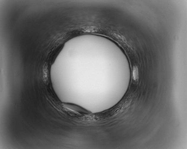 X0000095951444200802081248