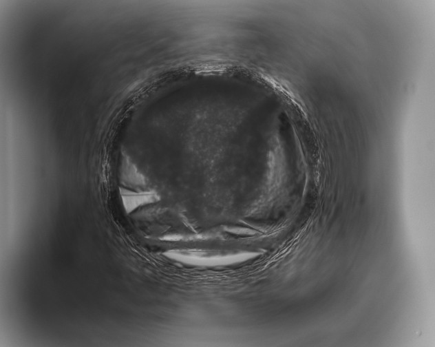 X0000095951445200802081248