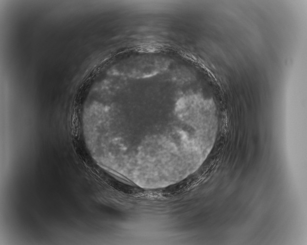 X0000095951446200802081248