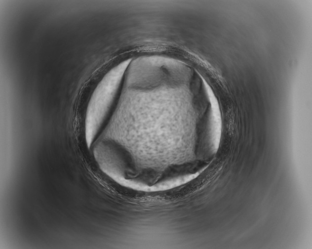 X0000095951448200802081248