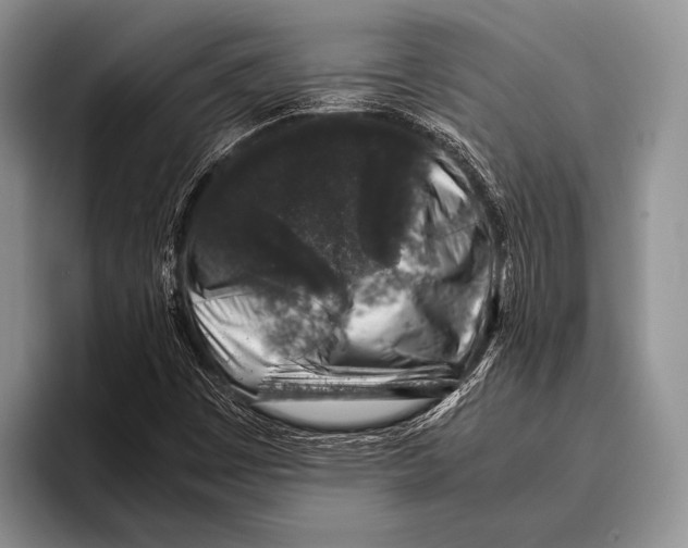 X0000095951449200802081248