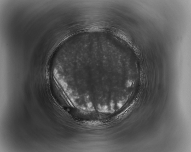 X0000095951450200802081248