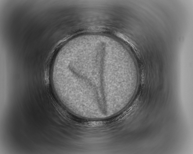 X0000095951451200802081248