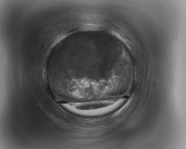 X0000095951453200802081248