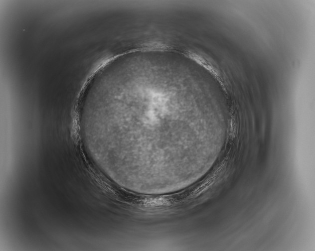 X0000095951454200802081248