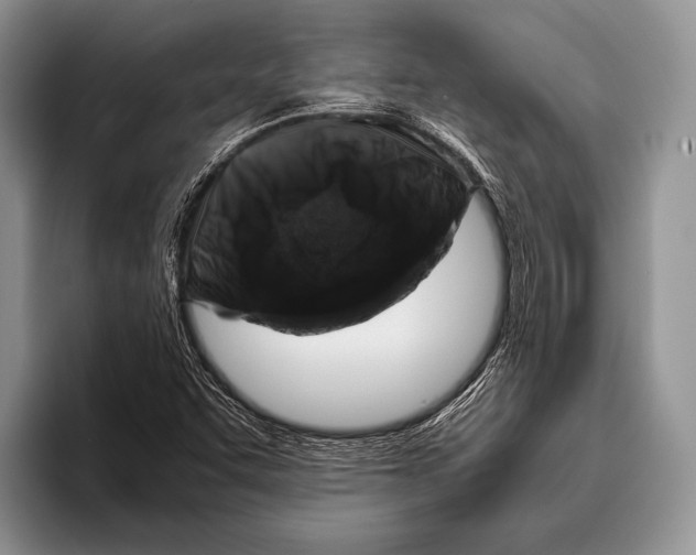 X0000095951455200802081248