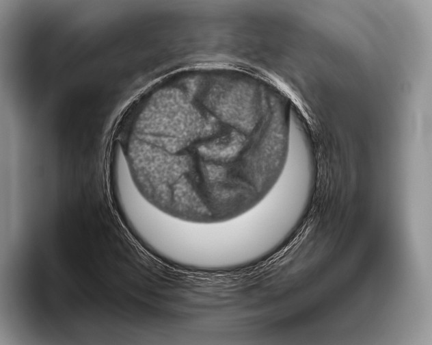 X0000095951456200802081248