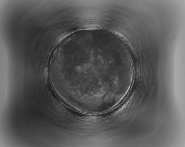 X0000095951457200802081247