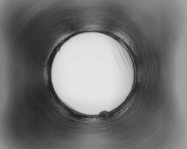 X0000095951458200802081247