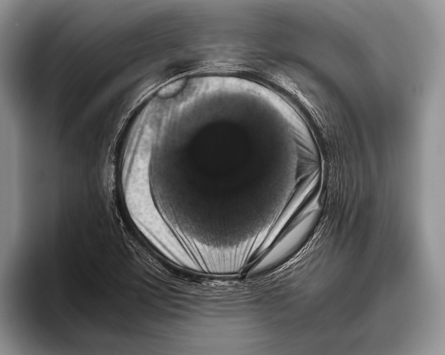 X0000095951459200802081247