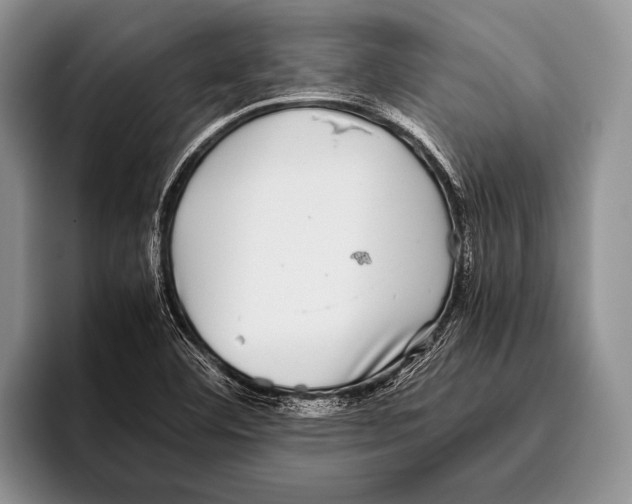 X0000095951460200802081247