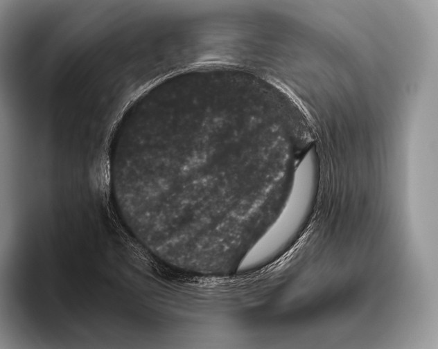 X0000095951461200802081247