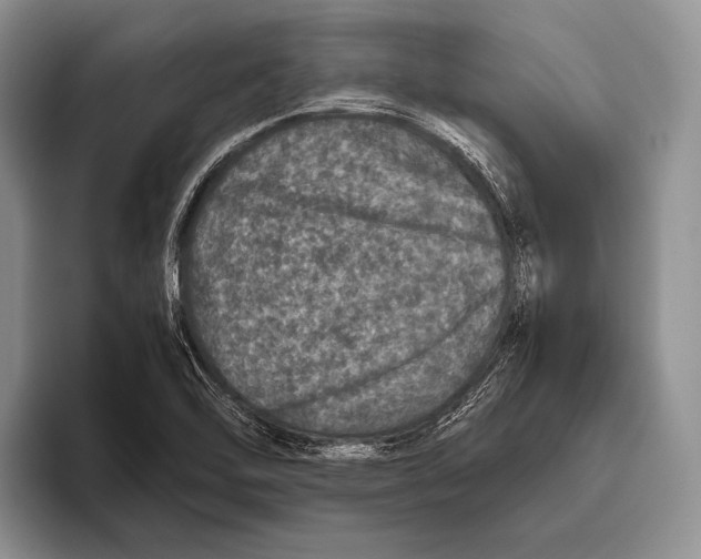 X0000095951462200802081247