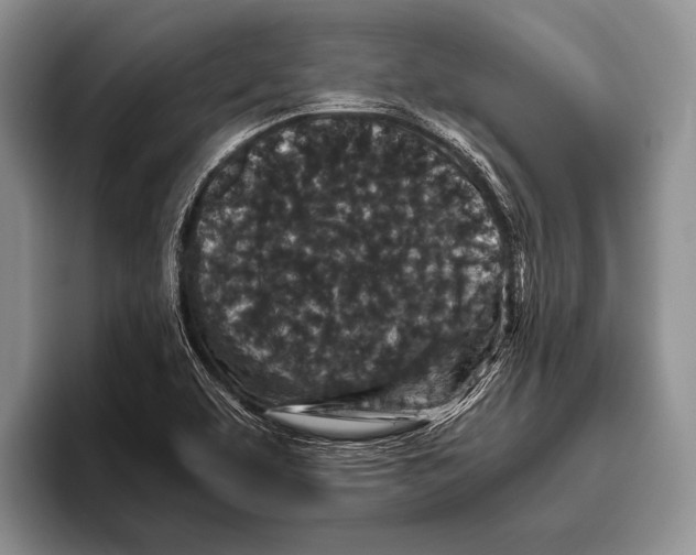 X0000095951463200802081247