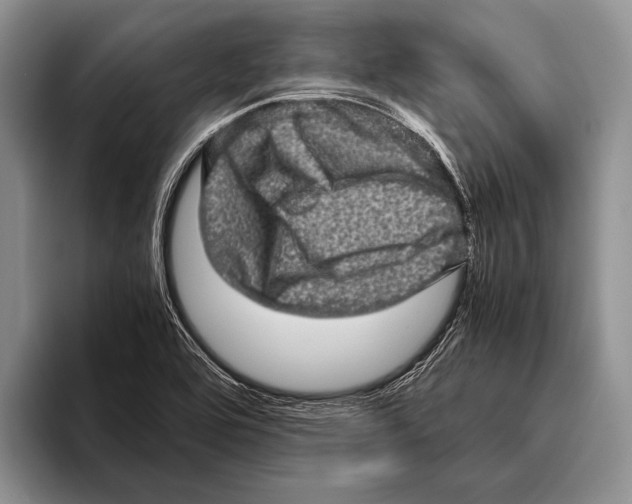 X0000095951464200802081247