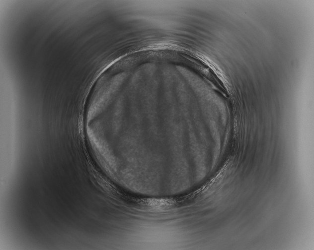 X0000095951465200802081247