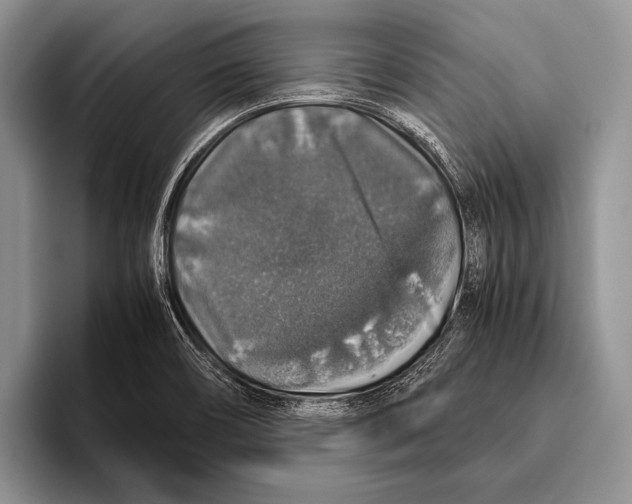 X0000095951466200802081247