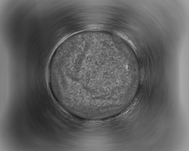 X0000095951467200802081247