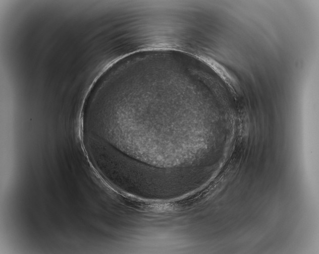 X0000095951468200802081247