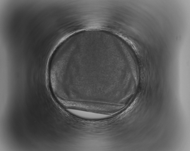 X0000095951469200802081247