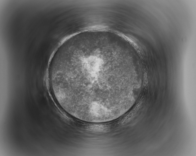 X0000095951470200802081247