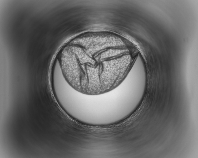 X0000095951472200802081247