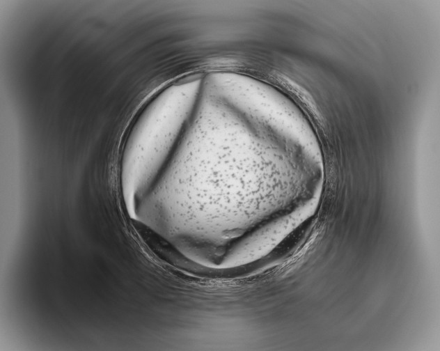 X0000095951473200802081247