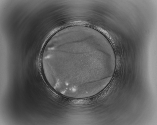 X0000095951474200802081247