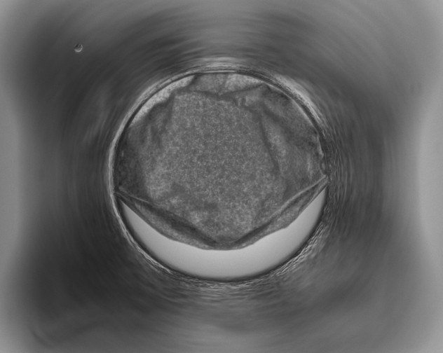 X0000095951475200802081247