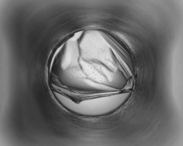 X0000095951476200802081247