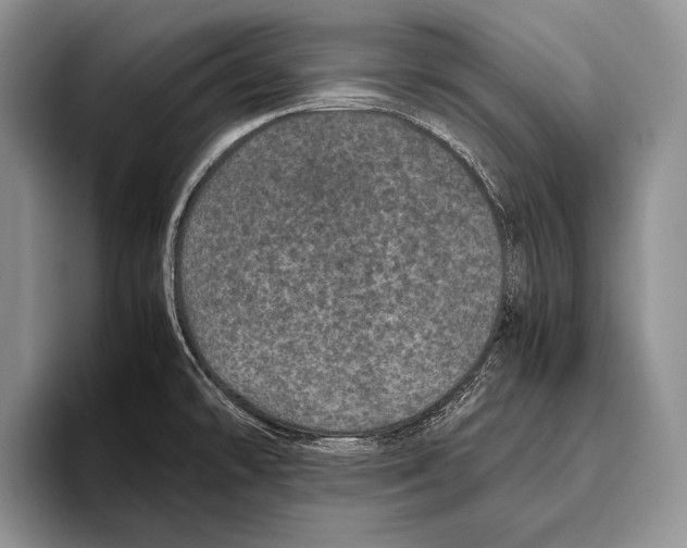 X0000095951478200802081247