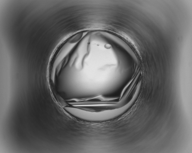 X0000095951480200802081247