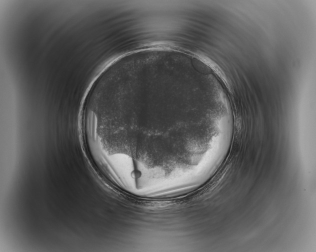 X0000095951482200802081247