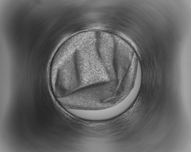 X0000095951483200802081247