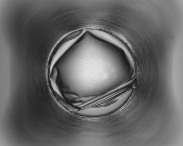 X0000095951484200802081247