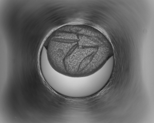 X0000095951488200802081247